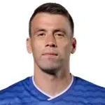 Séamus Coleman headshot