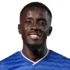 Idrissa Gana Gueye headshot